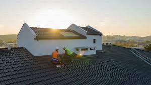 Best Roof Moss and Algae Removal  in Nassau Village Ratliff, FL